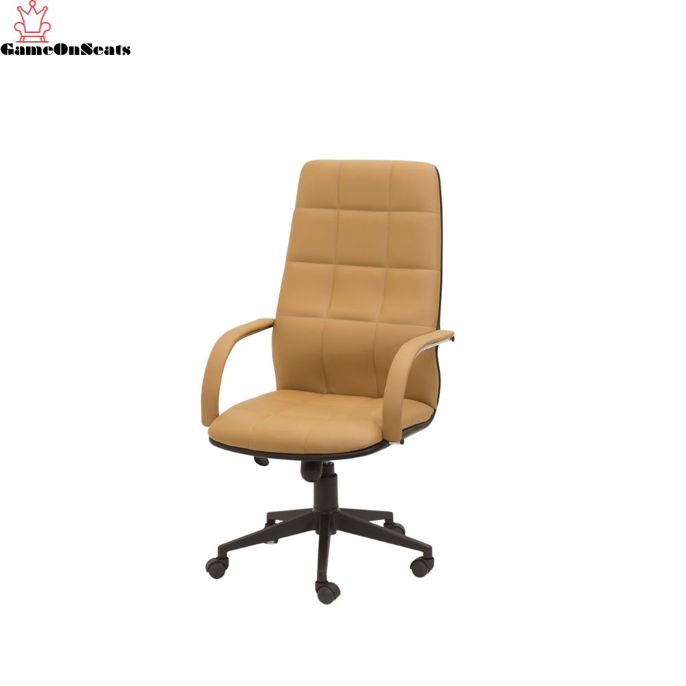 OTOBI Presidential Chair CPOC021